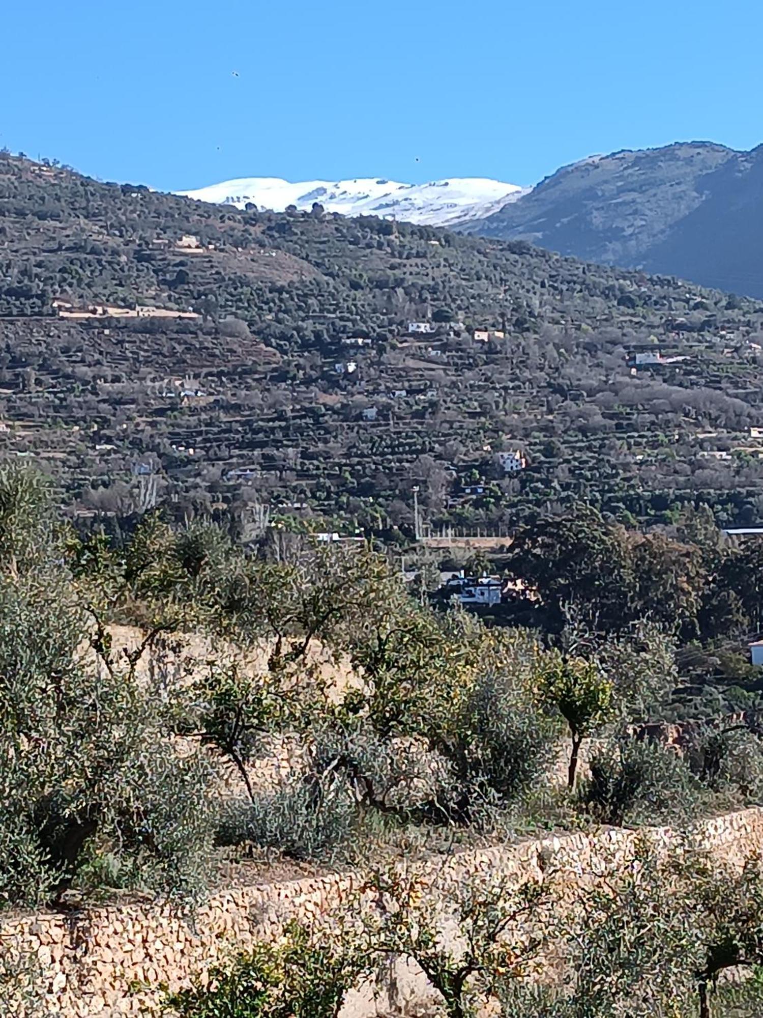 Holiday home Venta Del Aire Cortijo Terron *